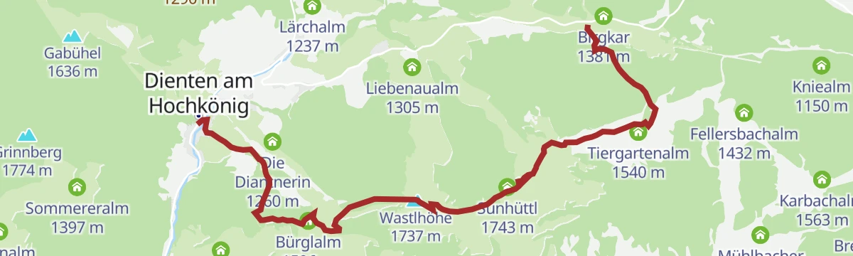 Route map: Almwanderung vom Dientner Sattel ins Dorf Dienten